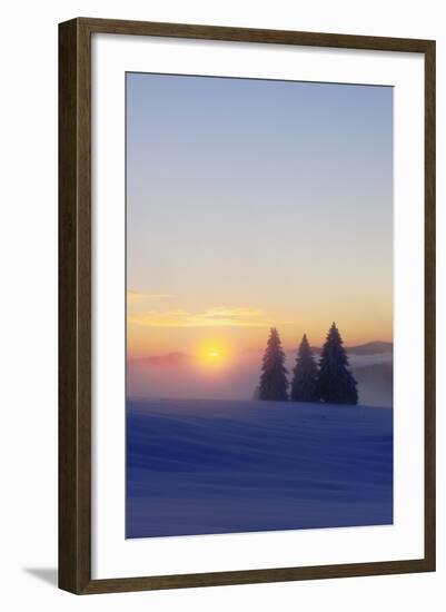 Germany, Baden-Wurttemberg, South Black Forest, Feldberg (Mountain), Winter Scenery, Sunrise-Herbert Kehrer-Framed Photographic Print