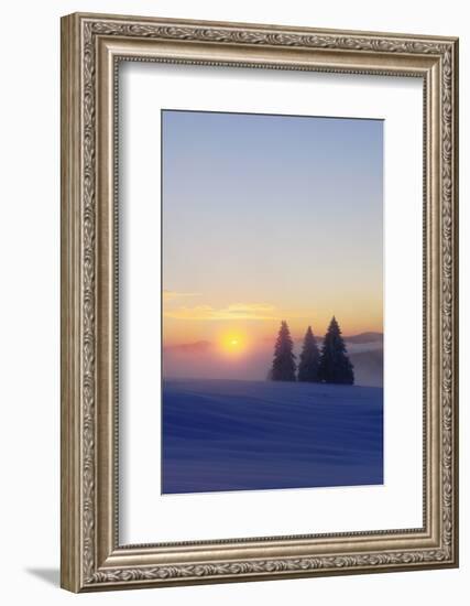 Germany, Baden-Wurttemberg, South Black Forest, Feldberg (Mountain), Winter Scenery, Sunrise-Herbert Kehrer-Framed Photographic Print