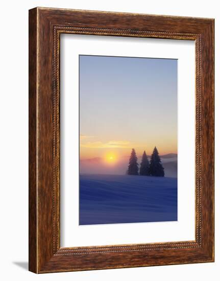 Germany, Baden-Wurttemberg, South Black Forest, Feldberg (Mountain), Winter Scenery, Sunrise-Herbert Kehrer-Framed Photographic Print