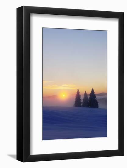 Germany, Baden-Wurttemberg, South Black Forest, Feldberg (Mountain), Winter Scenery, Sunrise-Herbert Kehrer-Framed Photographic Print