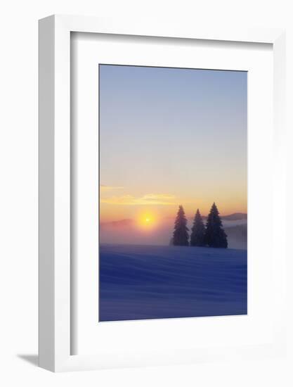 Germany, Baden-Wurttemberg, South Black Forest, Feldberg (Mountain), Winter Scenery, Sunrise-Herbert Kehrer-Framed Photographic Print