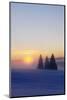 Germany, Baden-Wurttemberg, South Black Forest, Feldberg (Mountain), Winter Scenery, Sunrise-Herbert Kehrer-Mounted Photographic Print