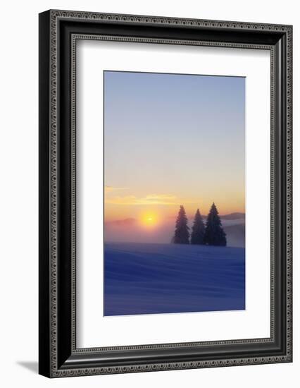 Germany, Baden-Wurttemberg, South Black Forest, Feldberg (Mountain), Winter Scenery, Sunrise-Herbert Kehrer-Framed Photographic Print