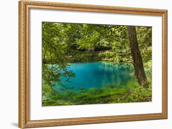 Germany, Baden-Wurttemberg, Swabian Alp, Blautal (Blau Valley), Blaubeuren, Karstic Spring Blautopf-Udo Siebig-Framed Photographic Print