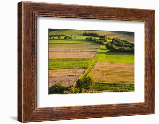 Germany, Baden-Wurttemberg, Swabian Alp, Mittlere Kuppenalb, Burladingen-Udo Siebig-Framed Photographic Print