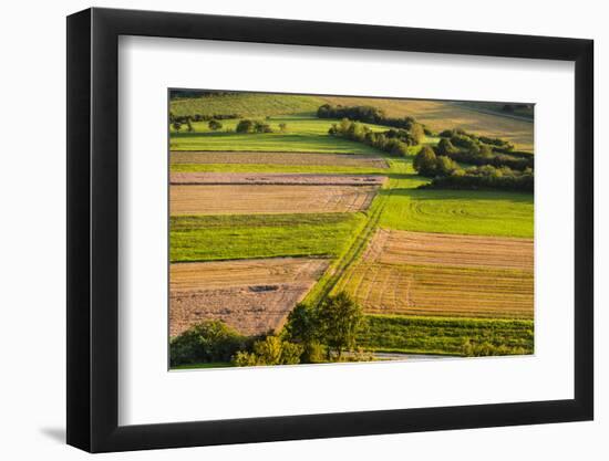 Germany, Baden-Wurttemberg, Swabian Alp, Mittlere Kuppenalb, Burladingen-Udo Siebig-Framed Photographic Print