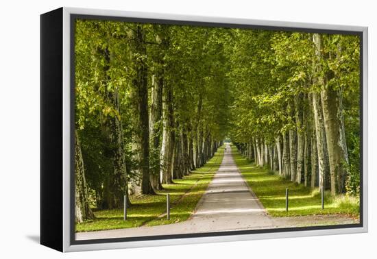 Germany, Baden-Wurttemberg, Unterer Schlossgarten (Lower Castle Gardens-Udo Siebig-Framed Premier Image Canvas