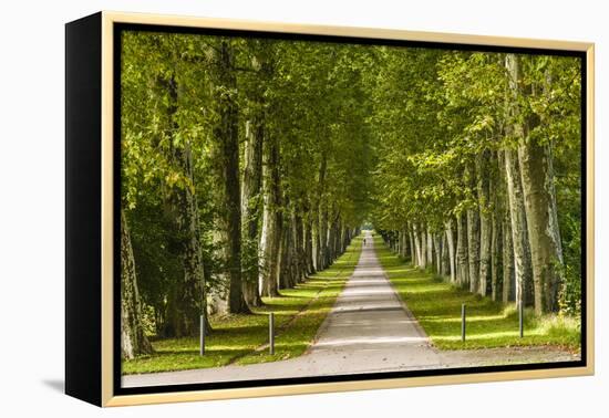 Germany, Baden-Wurttemberg, Unterer Schlossgarten (Lower Castle Gardens-Udo Siebig-Framed Premier Image Canvas