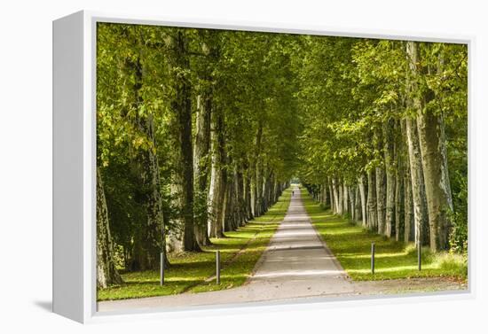 Germany, Baden-Wurttemberg, Unterer Schlossgarten (Lower Castle Gardens-Udo Siebig-Framed Premier Image Canvas