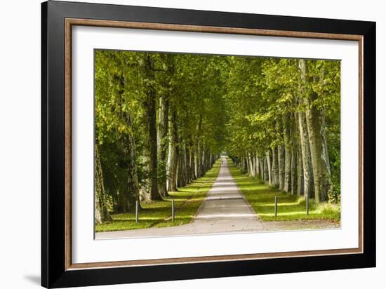 Germany, Baden-Wurttemberg, Unterer Schlossgarten (Lower Castle Gardens-Udo Siebig-Framed Photographic Print