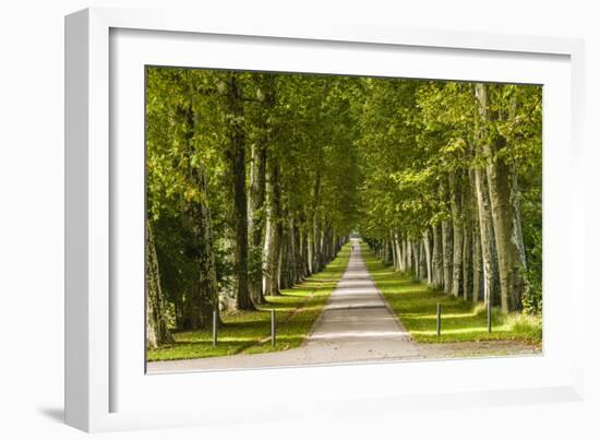 Germany, Baden-Wurttemberg, Unterer Schlossgarten (Lower Castle Gardens-Udo Siebig-Framed Photographic Print