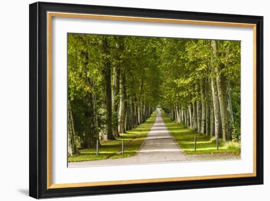 Germany, Baden-Wurttemberg, Unterer Schlossgarten (Lower Castle Gardens-Udo Siebig-Framed Photographic Print