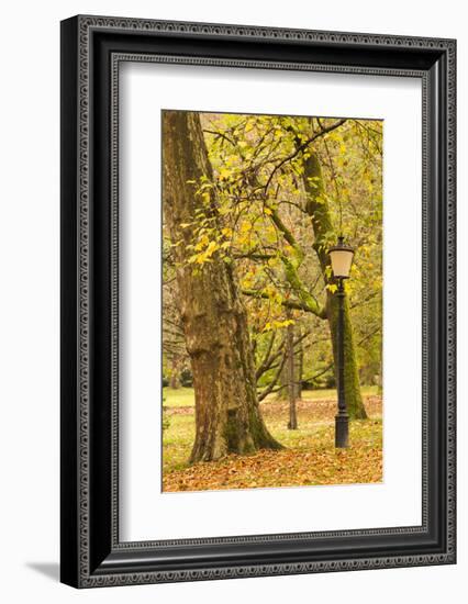 Germany, Baden-Wurttemburg, Baden-Baden, Lichtentaler Allee, Fall-Walter Bibikow-Framed Photographic Print