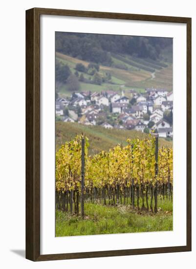 Germany, Baden-Wurttemburg, Badische Weinstrasse, Vineyards in the Fall-Walter Bibikow-Framed Photographic Print