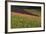 Germany, Baden-Wurttemburg, Black Forest, Gengenbach, Hillside Vineyards, Fall-Walter Bibikow-Framed Photographic Print