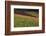 Germany, Baden-Wurttemburg, Black Forest, Gengenbach, Hillside Vineyards, Fall-Walter Bibikow-Framed Photographic Print