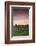 Germany, Baden-Wurttemburg, Burkheim, Kaiserstuhl Area, Autumn Vineyards at Dusk-Walter Bibikow-Framed Photographic Print