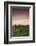 Germany, Baden-Wurttemburg, Burkheim, Kaiserstuhl Area, Autumn Vineyards at Dusk-Walter Bibikow-Framed Photographic Print