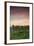 Germany, Baden-Wurttemburg, Burkheim, Kaiserstuhl Area, Autumn Vineyards at Dusk-Walter Bibikow-Framed Photographic Print