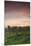 Germany, Baden-Wurttemburg, Burkheim, Kaiserstuhl Area, Autumn Vineyards at Dusk-Walter Bibikow-Mounted Photographic Print