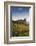 Germany, Baden-Wurttemburg, Burkheim, Kaiserstuhl Area, Vineyards and Ruins-Walter Bibikow-Framed Photographic Print