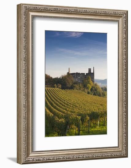 Germany, Baden-Wurttemburg, Burkheim, Kaiserstuhl Area, Vineyards and Ruins-Walter Bibikow-Framed Photographic Print