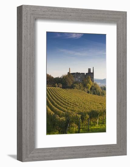 Germany, Baden-Wurttemburg, Burkheim, Kaiserstuhl Area, Vineyards and Ruins-Walter Bibikow-Framed Photographic Print