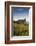 Germany, Baden-Wurttemburg, Burkheim, Kaiserstuhl Area, Vineyards and Ruins-Walter Bibikow-Framed Photographic Print