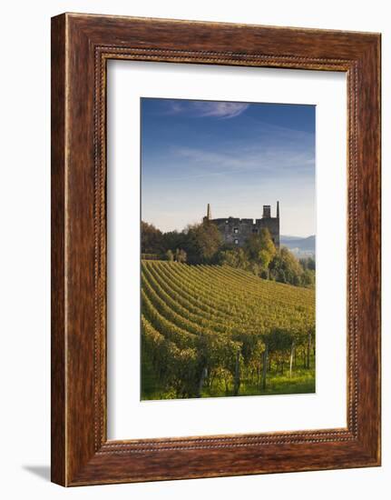 Germany, Baden-Wurttemburg, Burkheim, Kaiserstuhl Area, Vineyards and Ruins-Walter Bibikow-Framed Photographic Print