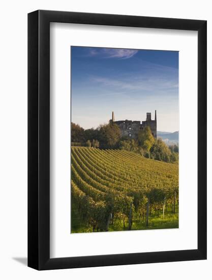 Germany, Baden-Wurttemburg, Burkheim, Kaiserstuhl Area, Vineyards and Ruins-Walter Bibikow-Framed Photographic Print