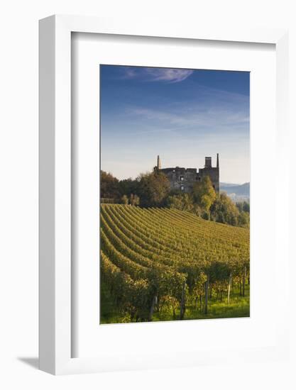 Germany, Baden-Wurttemburg, Burkheim, Kaiserstuhl Area, Vineyards and Ruins-Walter Bibikow-Framed Photographic Print