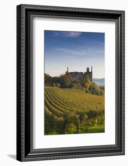 Germany, Baden-Wurttemburg, Burkheim, Kaiserstuhl Area, Vineyards and Ruins-Walter Bibikow-Framed Photographic Print