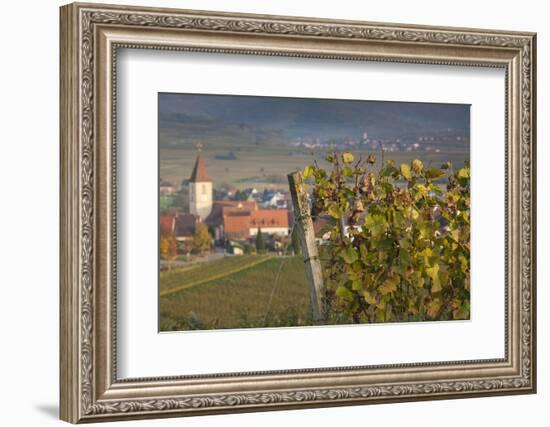 Germany, Baden-Wurttemburg, Burkheim, Kaiserstuhl Area, Vineyards Elevated Village View-Walter Bibikow-Framed Photographic Print