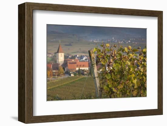 Germany, Baden-Wurttemburg, Burkheim, Kaiserstuhl Area, Vineyards Elevated Village View-Walter Bibikow-Framed Photographic Print