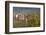 Germany, Baden-Wurttemburg, Burkheim, Kaiserstuhl Area, Vineyards Elevated Village View-Walter Bibikow-Framed Photographic Print