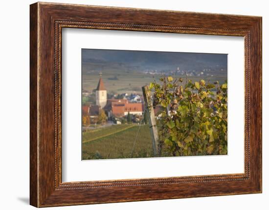 Germany, Baden-Wurttemburg, Burkheim, Kaiserstuhl Area, Vineyards Elevated Village View-Walter Bibikow-Framed Photographic Print