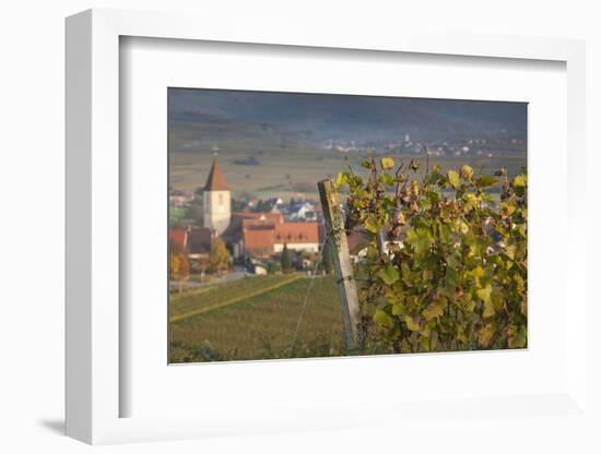 Germany, Baden-Wurttemburg, Burkheim, Kaiserstuhl Area, Vineyards Elevated Village View-Walter Bibikow-Framed Photographic Print