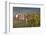 Germany, Baden-Wurttemburg, Burkheim, Kaiserstuhl Area, Vineyards Elevated Village View-Walter Bibikow-Framed Photographic Print