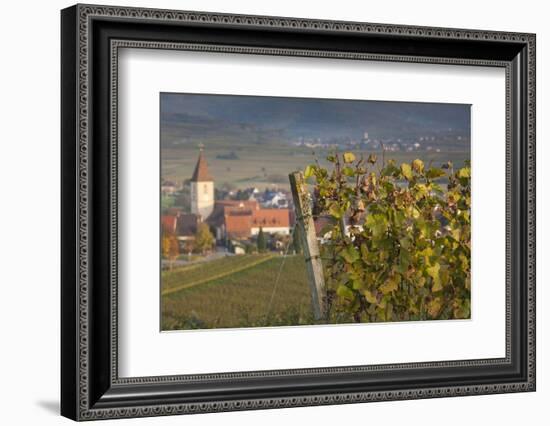 Germany, Baden-Wurttemburg, Burkheim, Kaiserstuhl Area, Vineyards Elevated Village View-Walter Bibikow-Framed Photographic Print