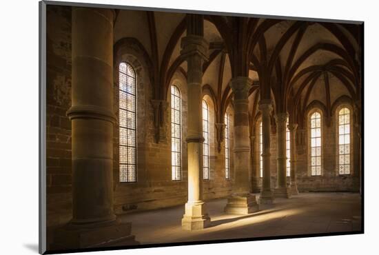 Germany, Baden-Wurttemburg, Maulbronn, Kloster Maulbronn Abbey, Cloister-Walter Bibikow-Mounted Photographic Print