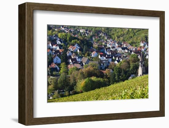 Germany, Baden-Wurttemburg, Stuttgart-Uhlbach, Vineyards Above Unter-Turkheim in Fall-Walter Bibikow-Framed Photographic Print
