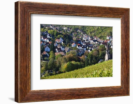 Germany, Baden-Wurttemburg, Stuttgart-Uhlbach, Vineyards Above Unter-Turkheim in Fall-Walter Bibikow-Framed Photographic Print