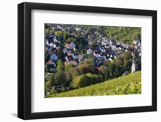 Germany, Baden-Wurttemburg, Stuttgart-Uhlbach, Vineyards Above Unter-Turkheim in Fall-Walter Bibikow-Framed Photographic Print