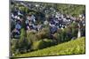 Germany, Baden-Wurttemburg, Stuttgart-Uhlbach, Vineyards Above Unter-Turkheim in Fall-Walter Bibikow-Mounted Photographic Print