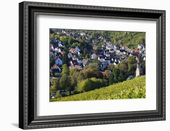 Germany, Baden-Wurttemburg, Stuttgart-Uhlbach, Vineyards Above Unter-Turkheim in Fall-Walter Bibikow-Framed Photographic Print