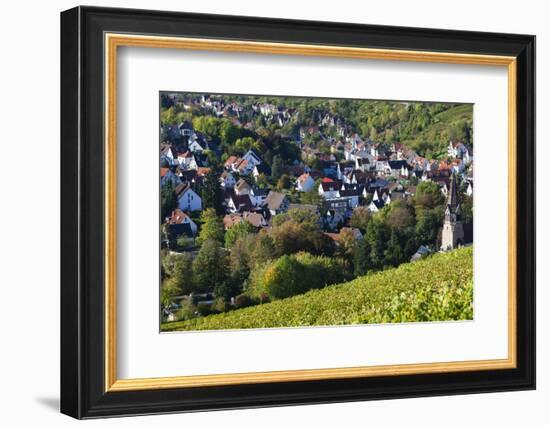 Germany, Baden-Wurttemburg, Stuttgart-Uhlbach, Vineyards Above Unter-Turkheim in Fall-Walter Bibikow-Framed Photographic Print