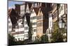 Germany, Baden-Wurttemburg, Tubingen, Old Town Buildings Along the Neckar River-Walter Bibikow-Mounted Photographic Print