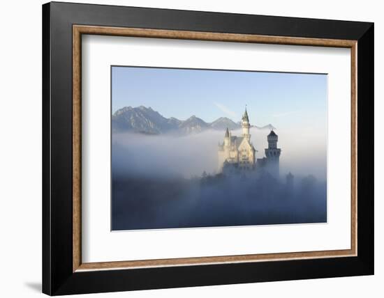 Germany, Bavaria, AllgŠu, Neuschwanstein Castle, Fog, Attraction, Structure, Outside, Autumn, King-Herbert Kehrer-Framed Photographic Print