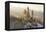 Germany, Bavaria, AllgŠu, Neuschwanstein Castle-Herbert Kehrer-Framed Premier Image Canvas