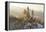 Germany, Bavaria, AllgŠu, Neuschwanstein Castle-Herbert Kehrer-Framed Premier Image Canvas